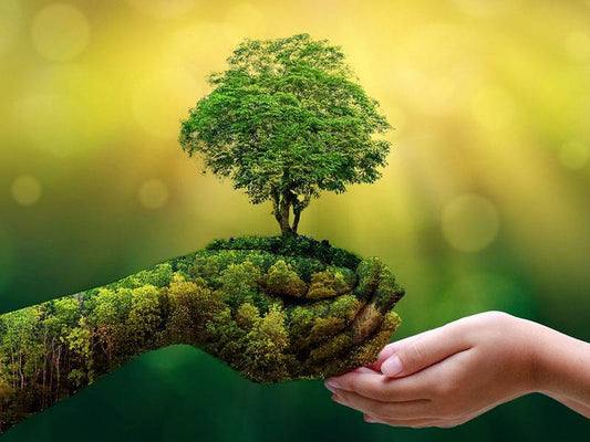 Healing the Earth, One Herb at a Time
