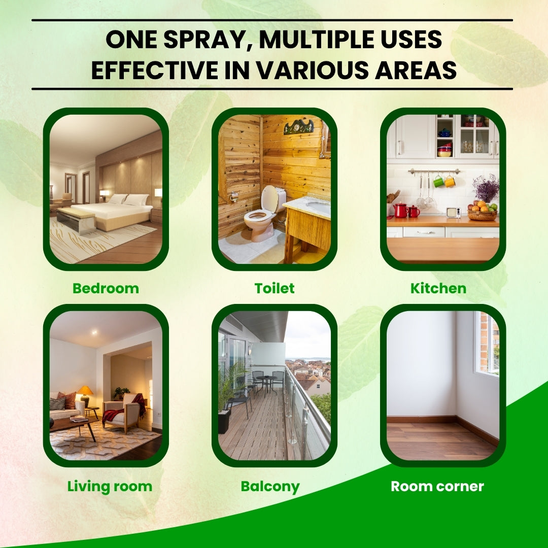 Best Wish™ Anti-Lizard Spray – Long-Lasting Protection for Homes, Kitchens & Offices