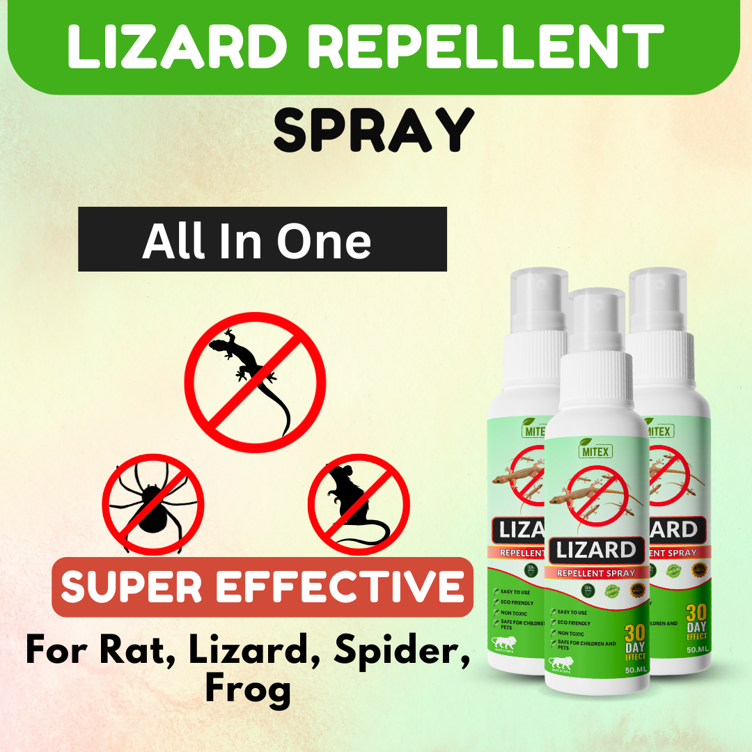 Best Wish™ Anti-Lizard Spray – Long-Lasting Protection for Homes, Kitchens & Offices