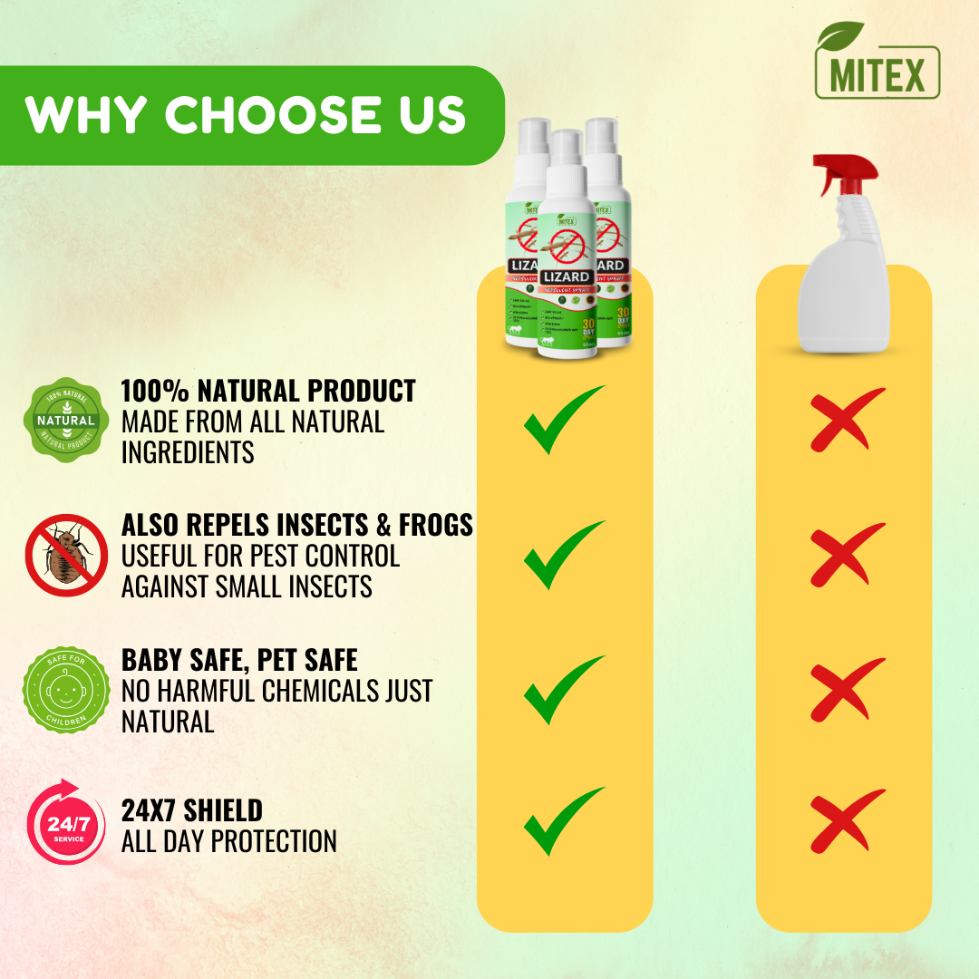 Best Wish™ Anti-Lizard Spray – Long-Lasting Protection for Homes, Kitchens & Offices